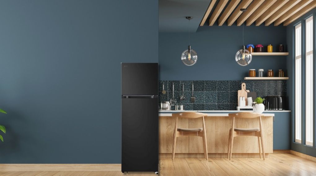 Tủ lạnh LG Inverter 266 lít LTB26BLM
