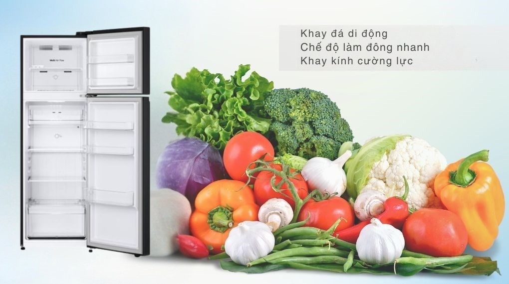 Tủ lạnh LG Inverter 266 lít LTB26BLM