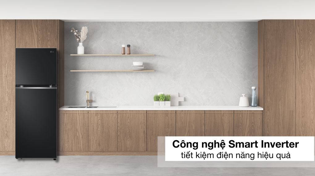 Tủ lạnh LG Inverter 315 lít LTB31BLM