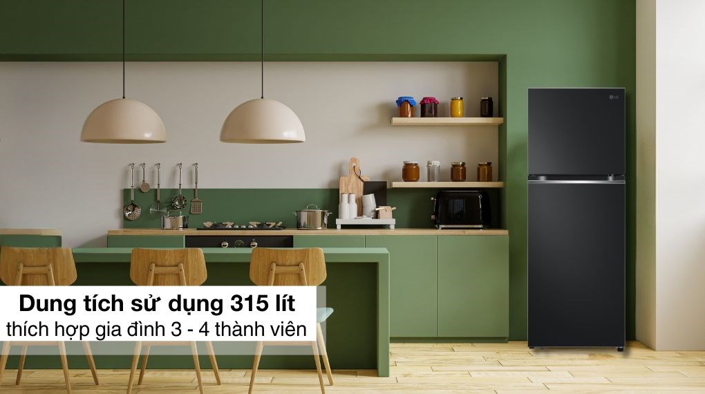 Tủ lạnh LG Inverter 315 lít LTB31BLM