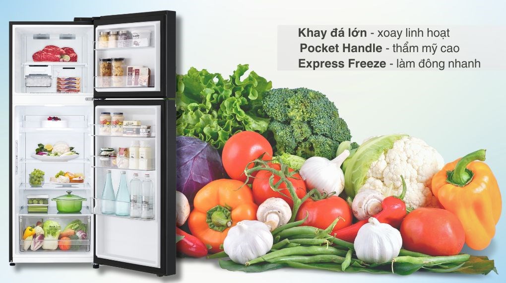 Tủ lạnh LG Inverter 315 lít LTB31BLM