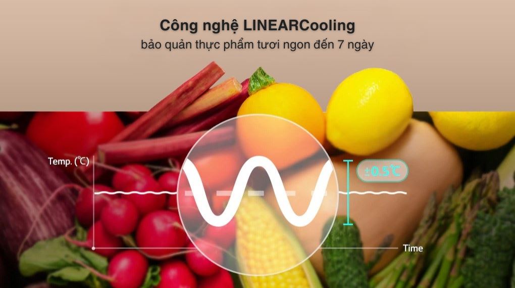 Tủ lạnh LG Inverter 315 lít LTB31BLMA