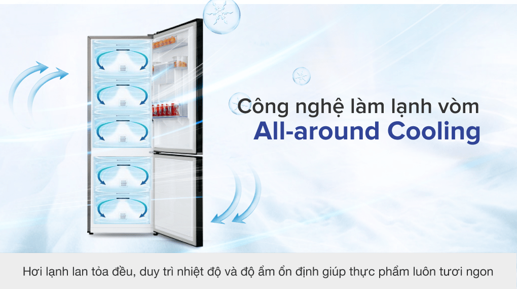 Tủ lạnh Samsung Inverter 307 lít RB30N4170BU/SV