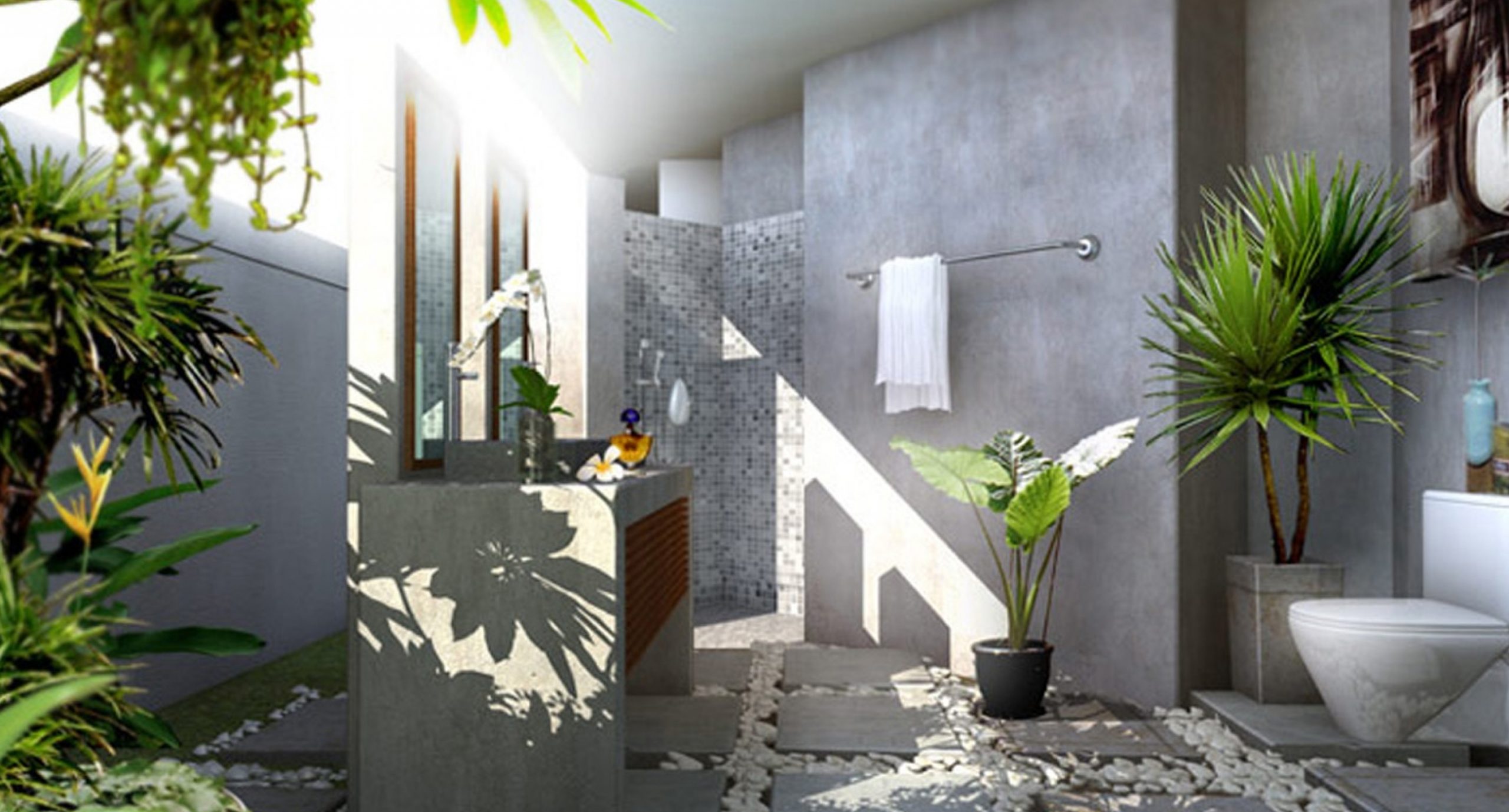 Trang trí cây cọ xanh không giới hạn ở phòng khách, phòng bếp mà còn có thể đặt ở nhà vệ sinh