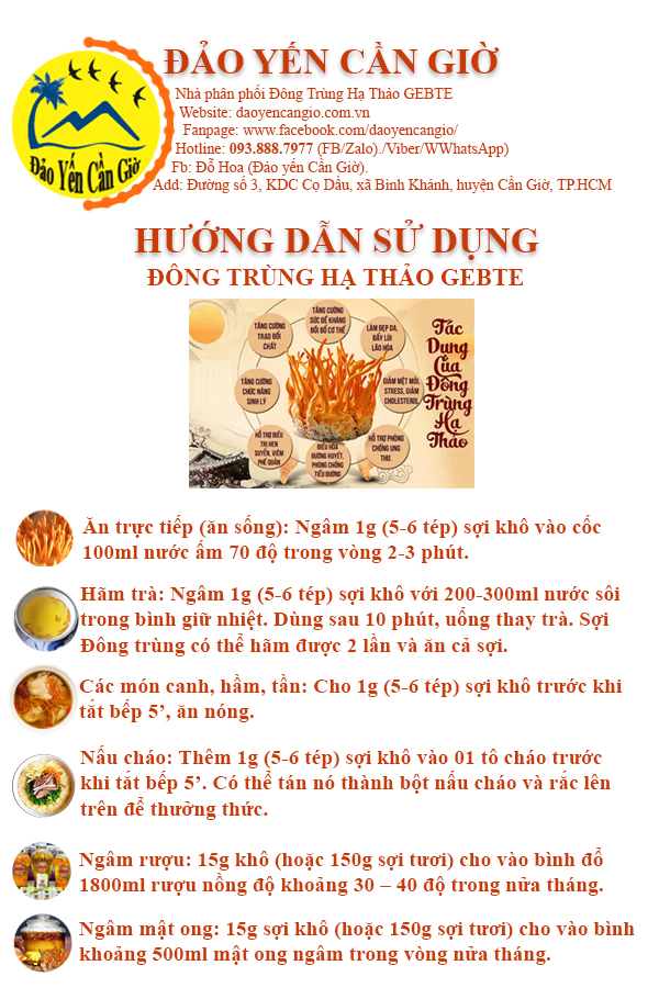 hướng dẫn sử dụng đông trùng hạ thảo