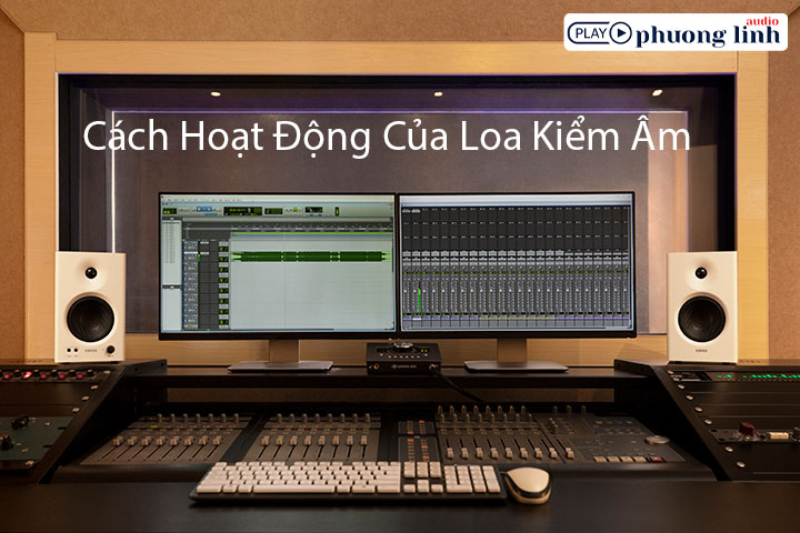 Loa kiểm âm ngày càng phổ biến