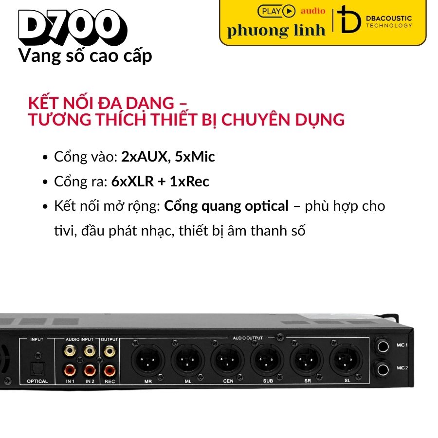 Kết Nối Đa Dạng DBacoustic D700