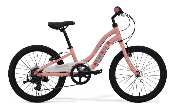 Xe đạp cần có giấy tờ chứng minh nguồn gốc xuất xứ rõ ràng