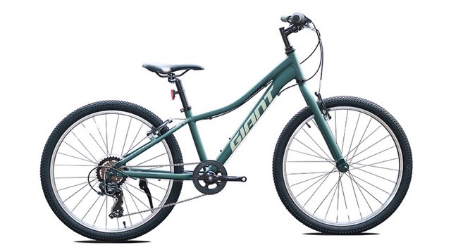 Xe đạp thương hiệu Giant cho trẻ em