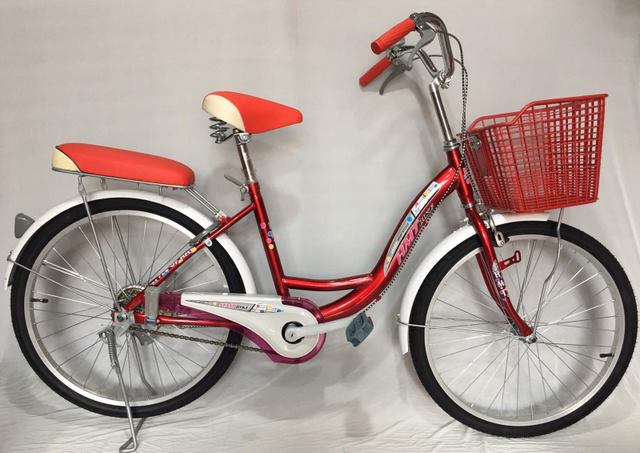 Xe đạp trẻ em 2 bánh chất lượng cho nữ