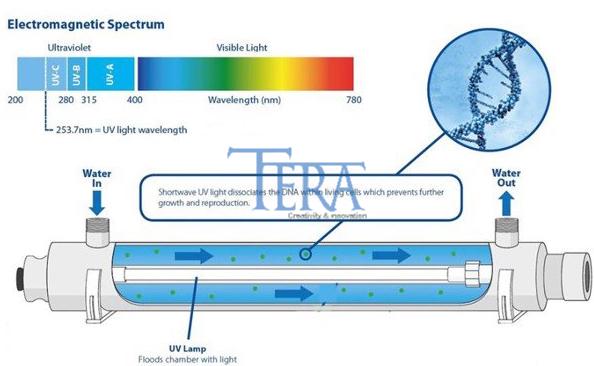 Cơ chế hoạt động của đèn UV diệt khuẩn phòng ngủ