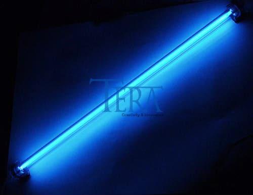 Lựa Chọn Tối Ưu Với Tera – Cam Kết Về Giá và Chất Lượng Chính Hãng