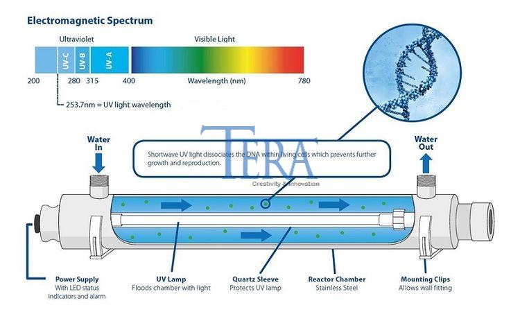 Lợi ích vượt trội - Tia uv có tác dụng gì trong công nghệ và sinh học?