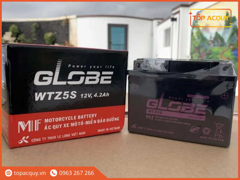 ac quy globe