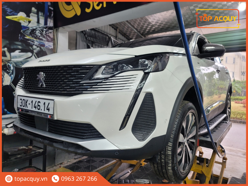 Ắc quy ô tô Peugeot