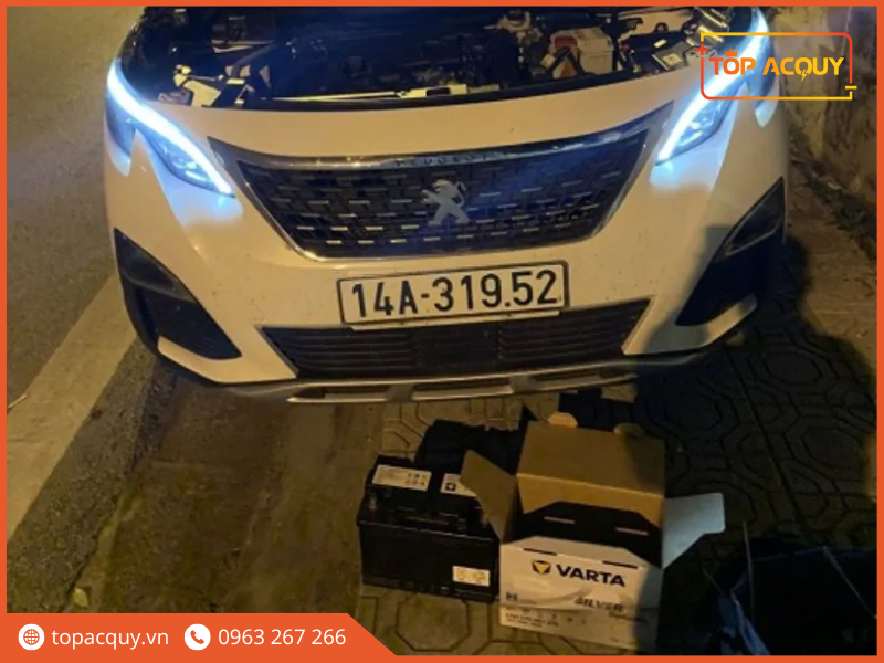 ắc quy xe peugeot 3008