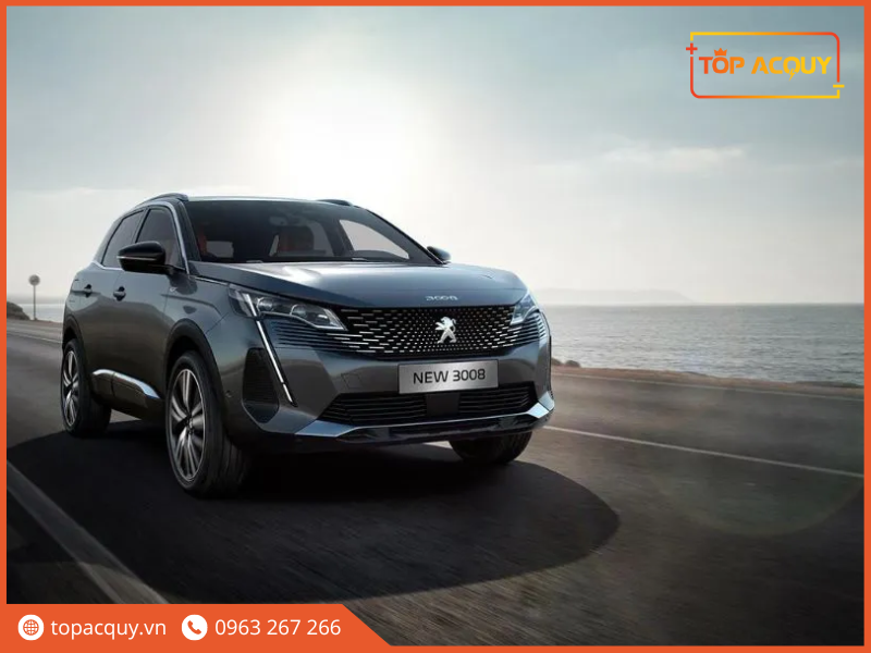 xe peugeot 3008