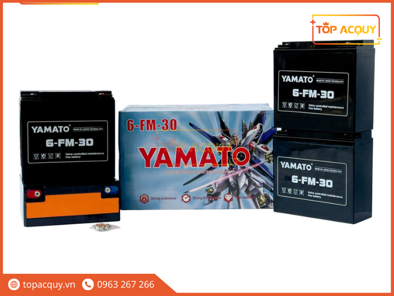 bình ắc quy 12V 30Ah