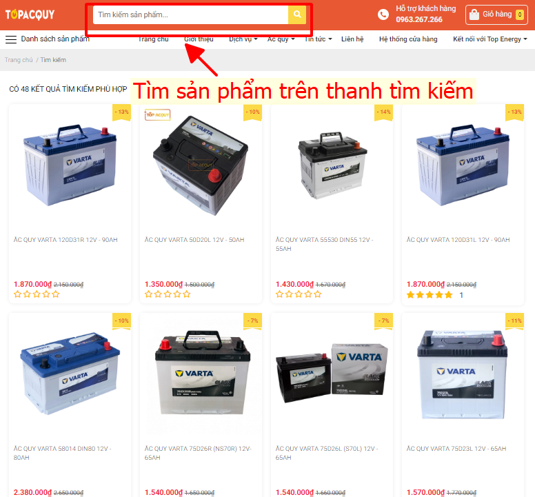 bình ắc quy Varta TPHCM