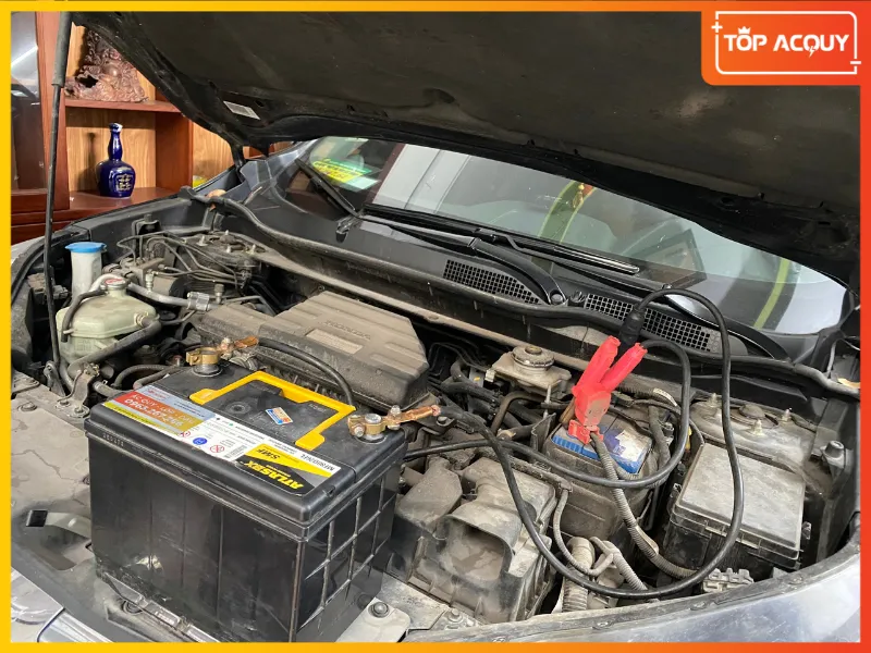 DỊch vụ câu và kích bình Phúc Thọ tại Topacquy