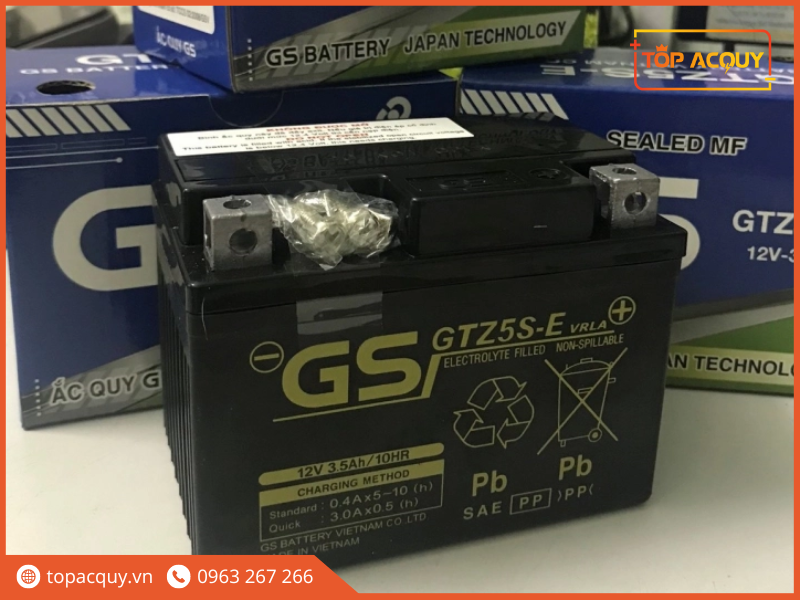 bình ắc quy gs