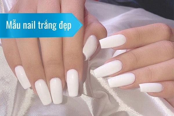 Các loại sơn màu trắng được ưa chuộng nhất