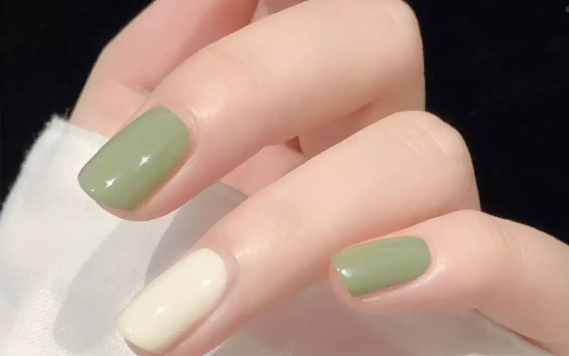 Sự kết hợp giữa màu vàng và màu trắng, màu xanh lá cây