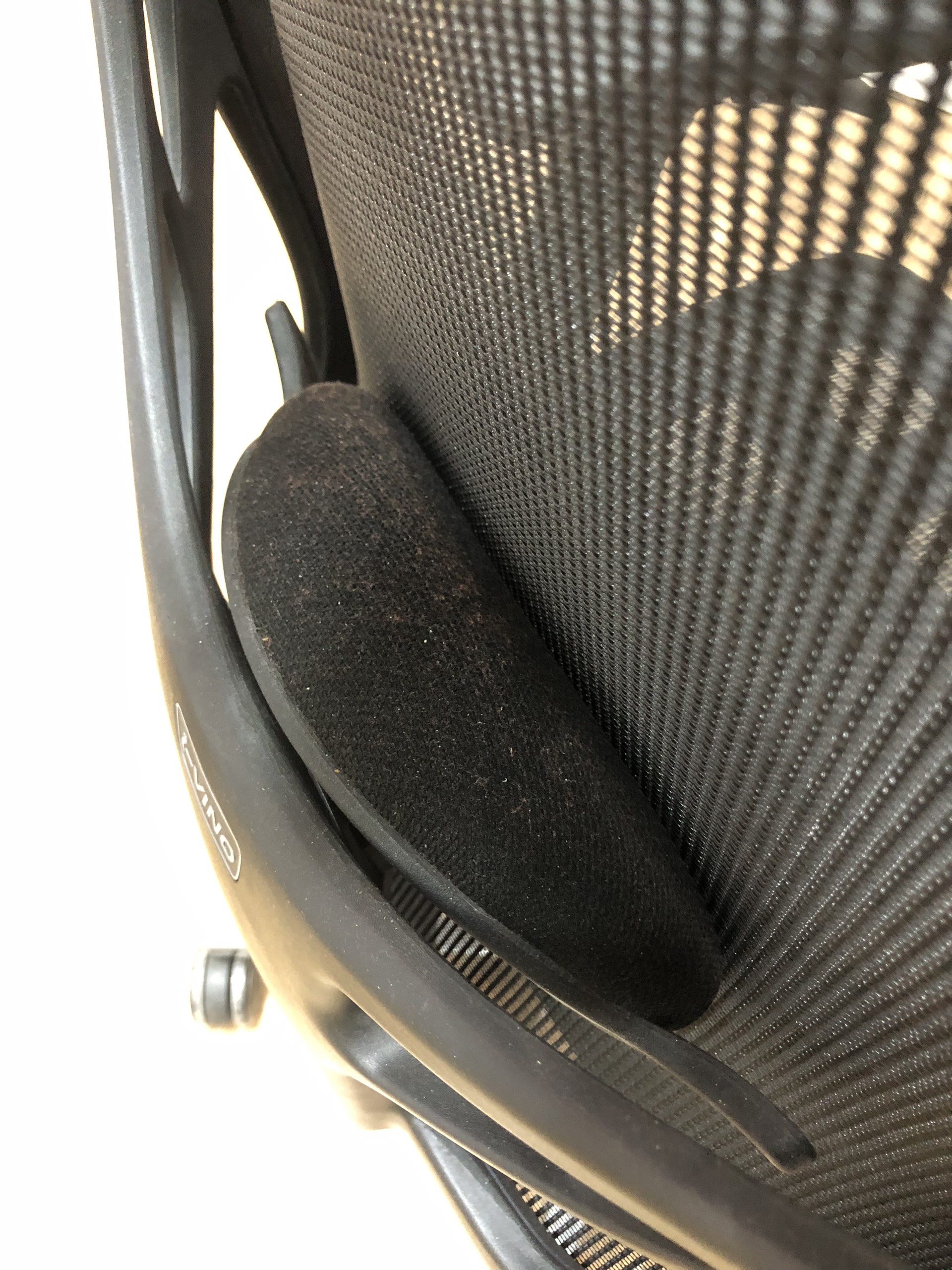 Phần đệm lưng rất nhiều bụi