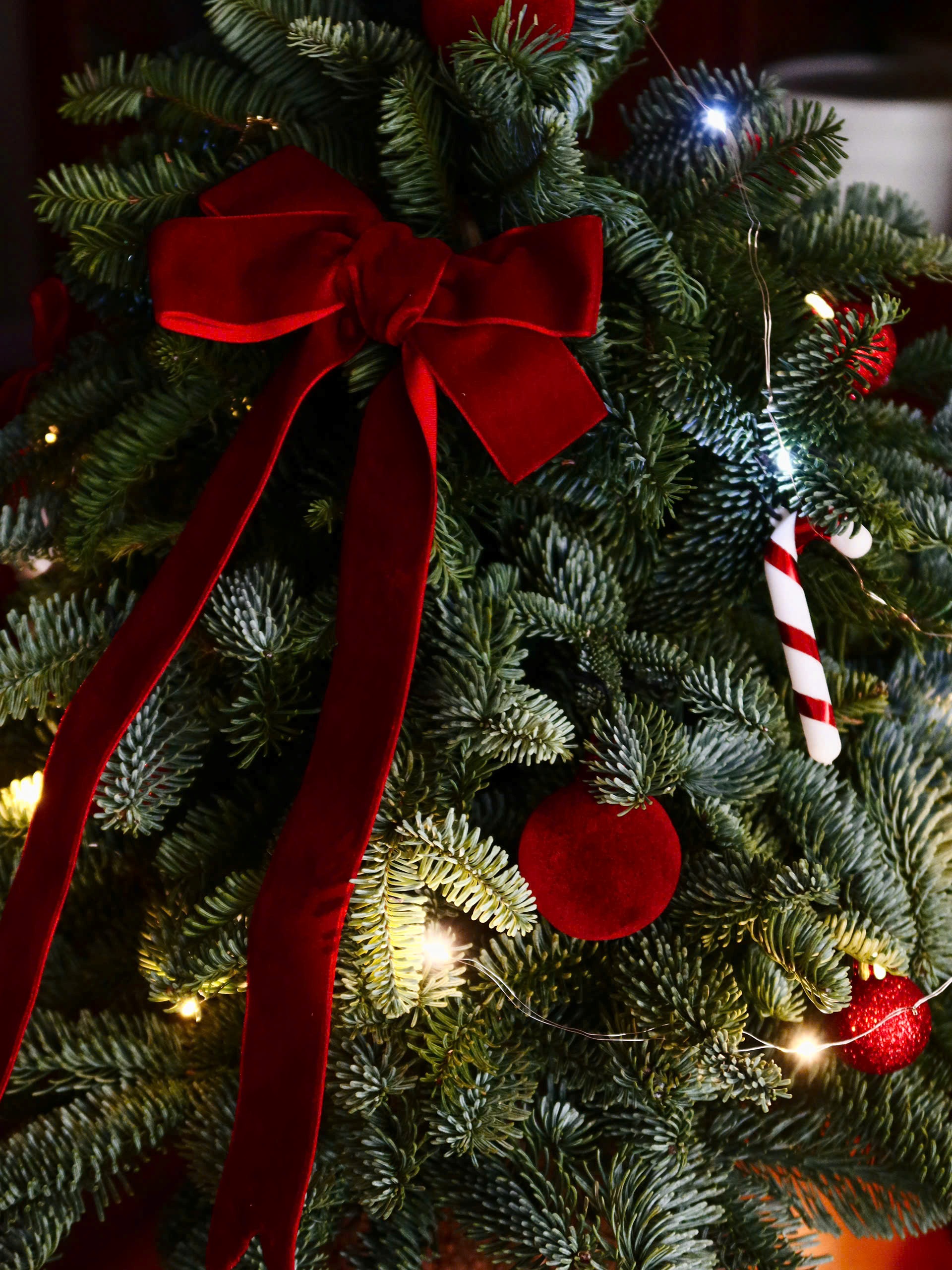 ruy-bang-nhung-giang-sinh-florist-space