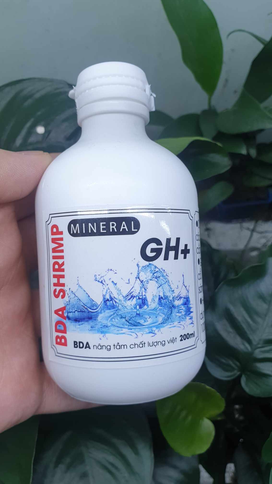 Khoáng GH+