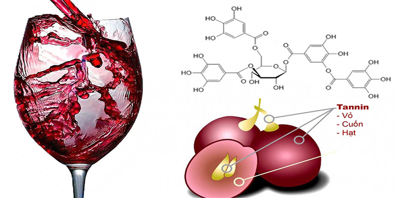 Tannin trong rượu vang và các thực phẩm khác