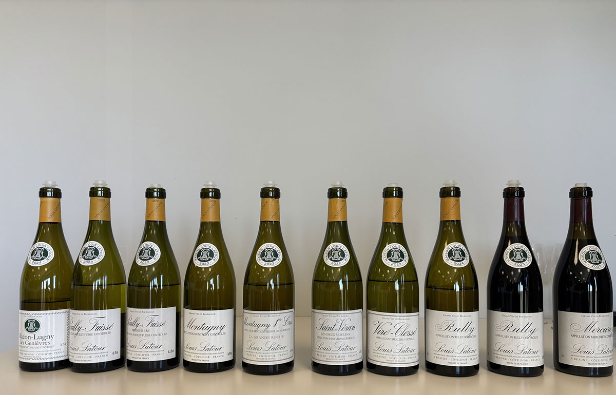 Chai vang Maison Louis Latour