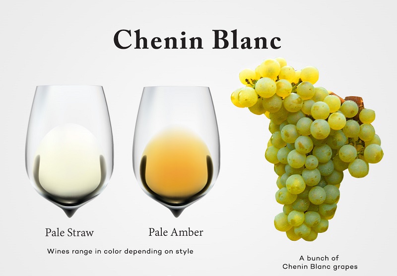 Rượu vang Chenin Blanc