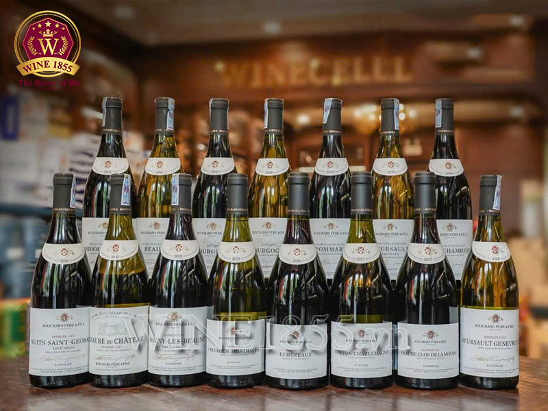 Bouchard Père & Fils – Định nghĩa sự sang trọng.