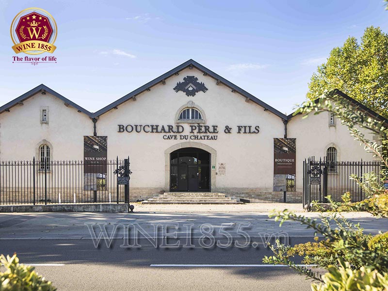 Bouchard Père & Fils – Truyền thống ba thế kỷ, hương vị vượt thời gian.