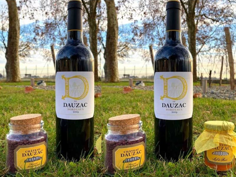 Rượu Vang Pháp D De Dauzac