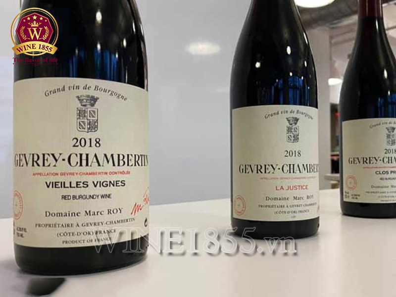 Domaine Marc Roy – Đẳng cấp Gevrey, dấu ấn cổ thụ.