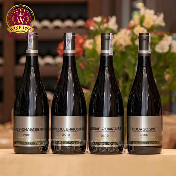 Chambolle-Musigny – Mềm mại như lụa, sâu như ký ức.