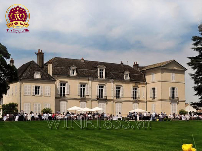 Vị vang mang dấu ấn – Nhà Meursault & giống nho lừng danh.