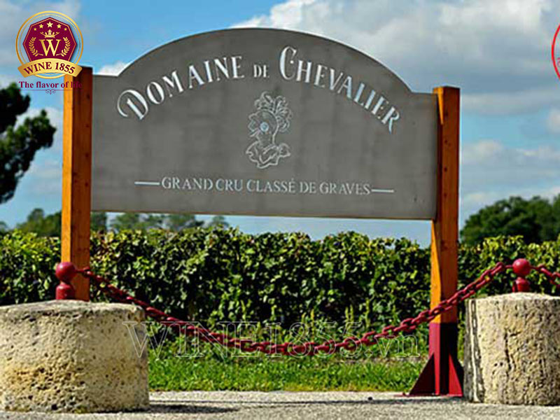 Domaine de Chevalier – Phẩm chất quý tộc trong từng giọt vang.