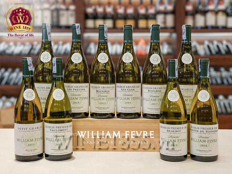 Montée De Tonnerre – Tinh hoa từ vùng đất Chablis danh giá.