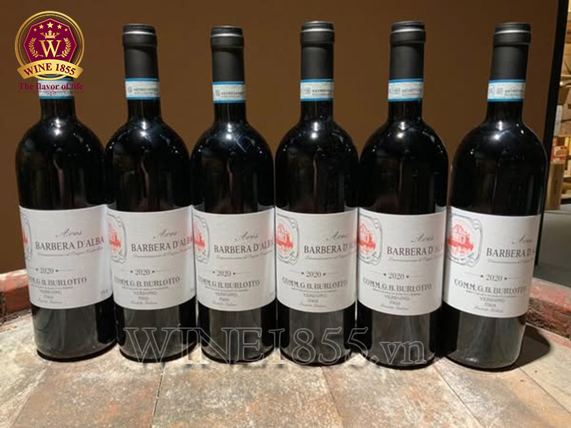 Barbera D’alba – Kết nối cảm xúc, nâng tầm trải nghiệm.