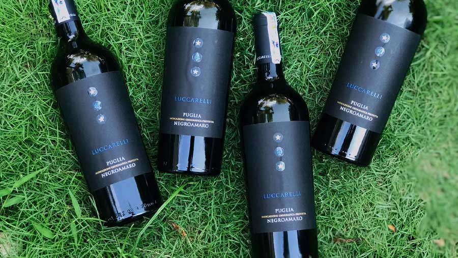 Rượu Vang Ý Luccarelli Negroamaro