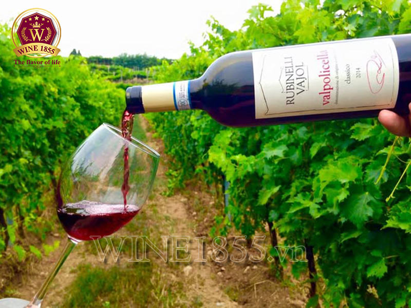 Rượu Vang Ý Rubinelli Vajol Valpolicella Classico - Hương vị Ý trong từng giọt tinh túy.