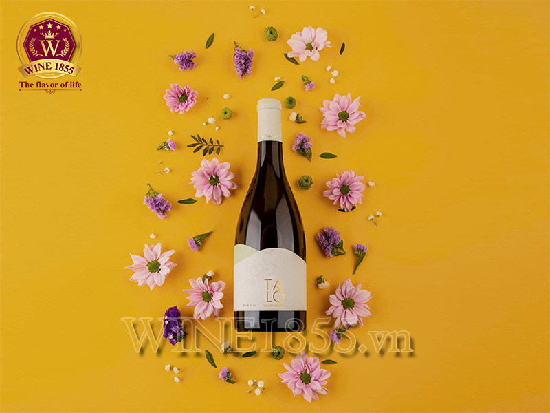Rượu Vang Ý Talò Fiano