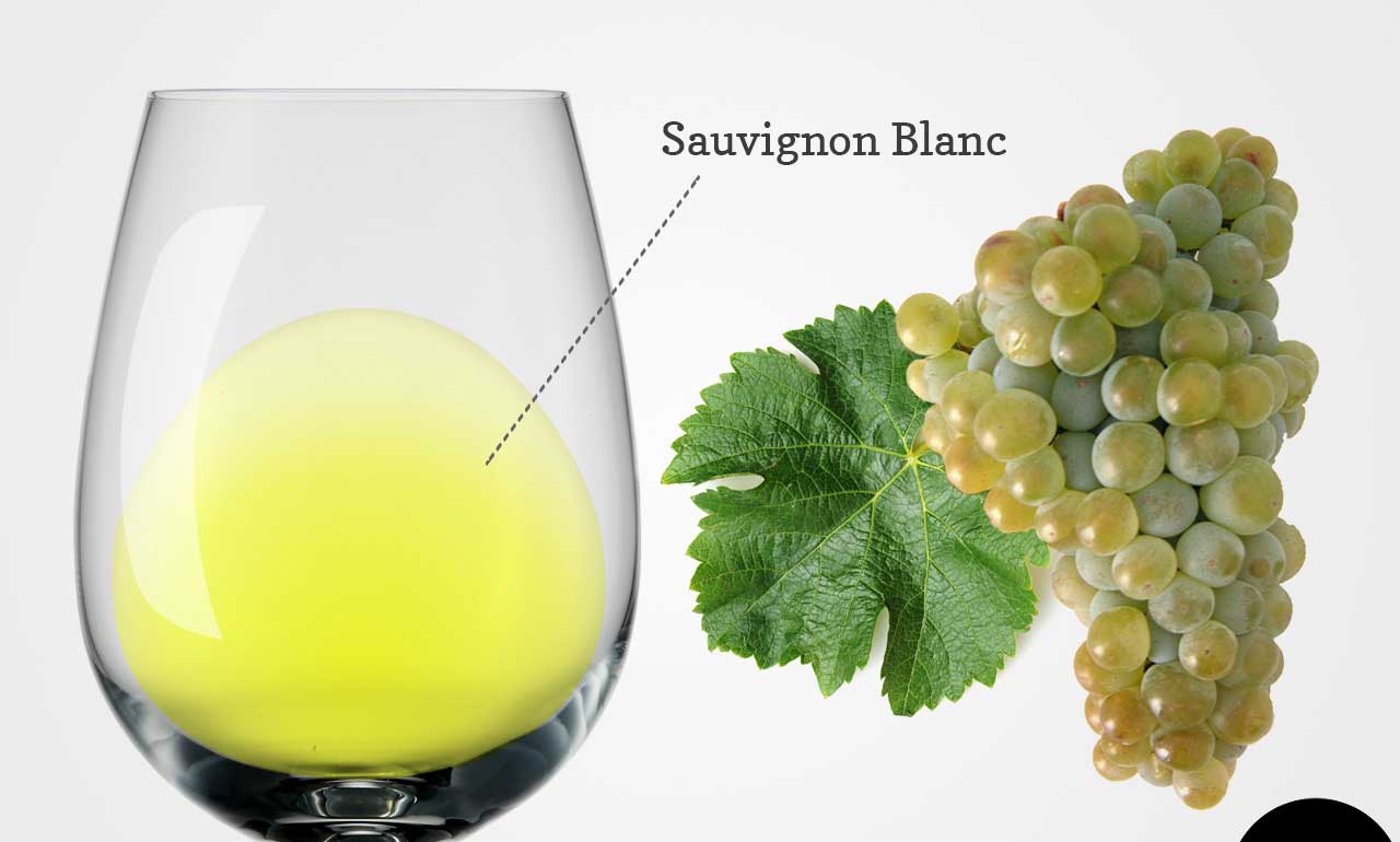 Giống nho Sauvignon Blanc