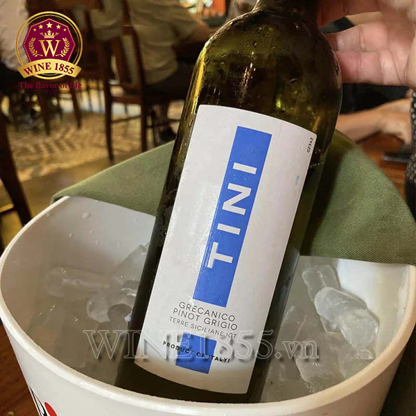 Rượu vang Ý Tini Grecanico Pinot Grigio Terre Siciliane