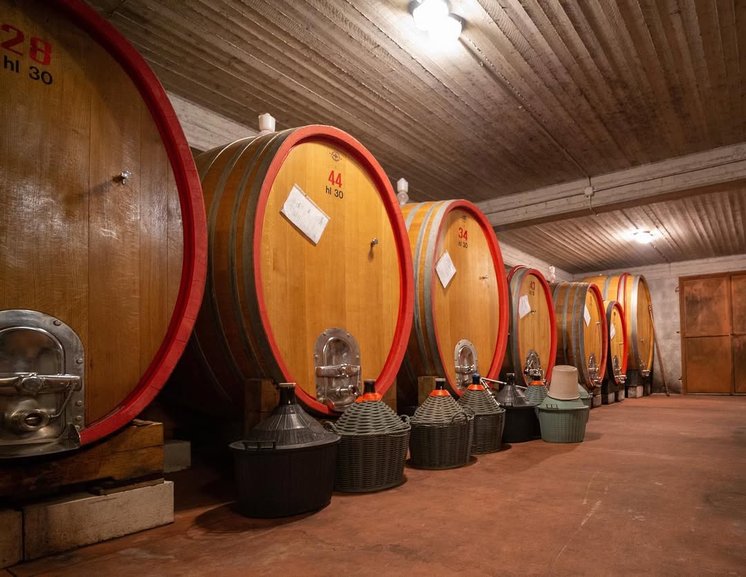 Hầm ủ rượu vang tại Vini Franchetti