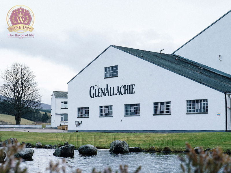 Nhà máy sản xuất Whisky Glenallachie 2015 The Sinteis Series