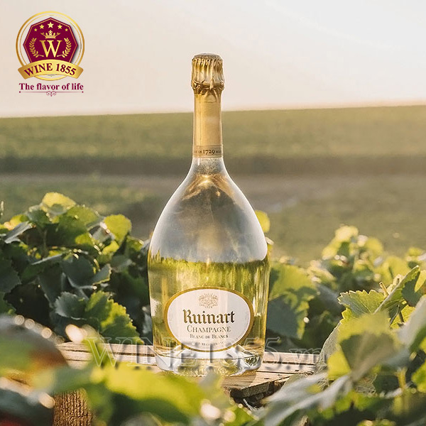 Champagne Ruinart Blanc De Blancs - Ánh sáng lung linh, đẳng cấp ngời ngời.